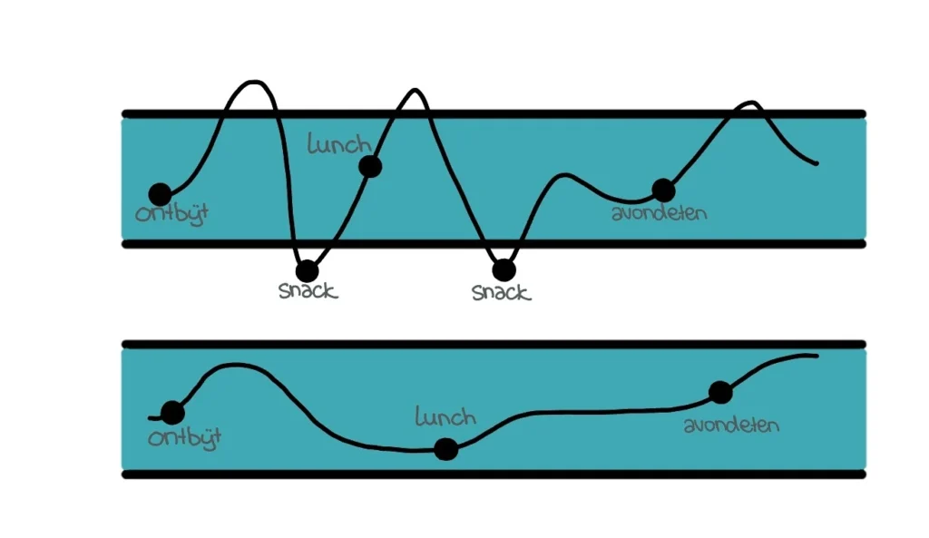 Diabetes type 1 - Stabiele Bloedsuikers